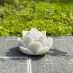 Hoa Sen Bằng Đá Trắng Cúng Phật - Hoa sen bằng đá chưng bàn thờ